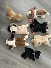 Ty Beanie Baby Dog Collection 7 Pieces Rare Retired Mint Condition Tags Vintage