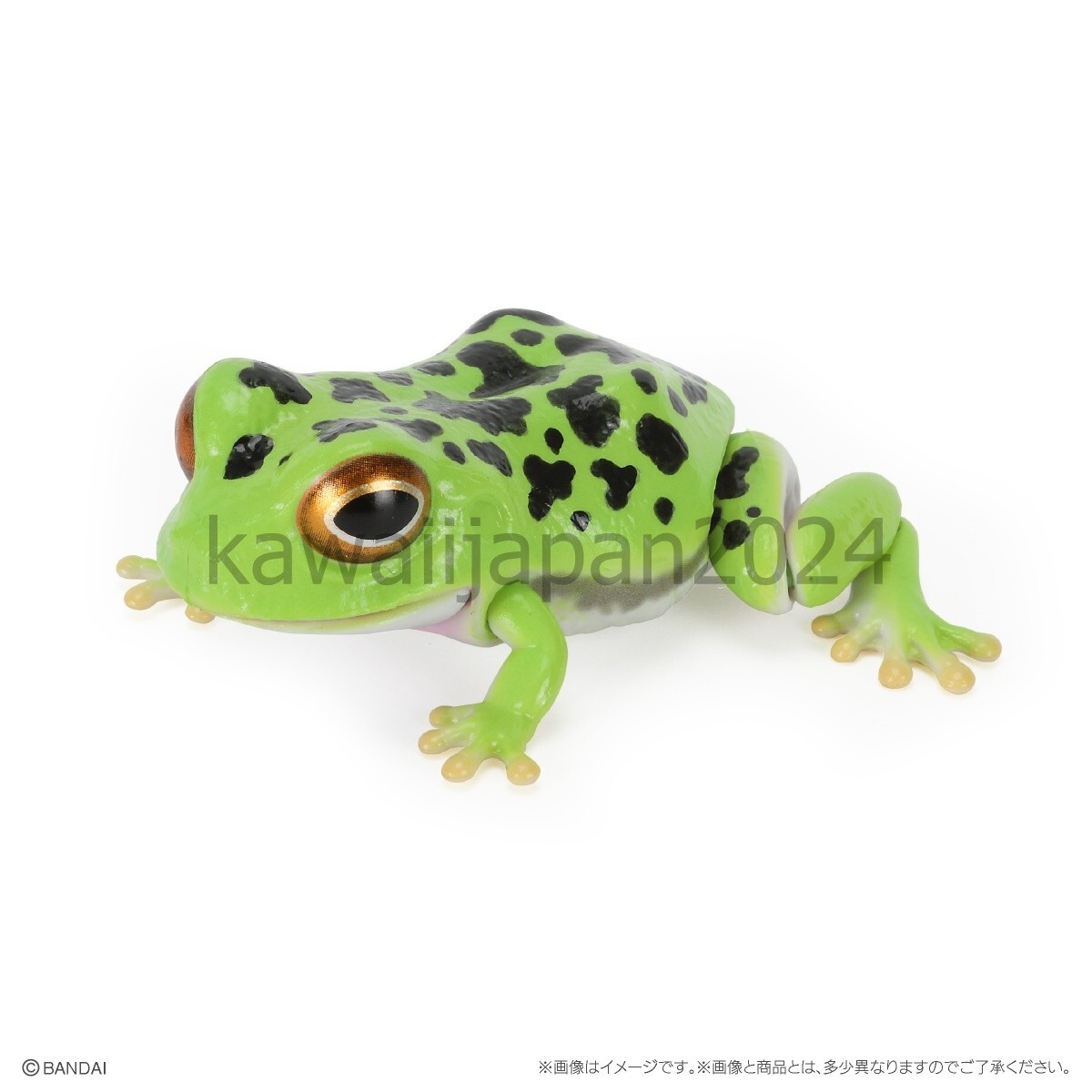 小物 Frog PSL Ikimono Encyclopedia Repti Toads and morel Frog Set of 5