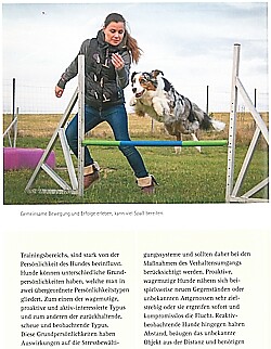 Thumbnail - Adler: Allzu Viel Ist Ungesund - Hunde Beschäftigung Und Ihre Grenzen