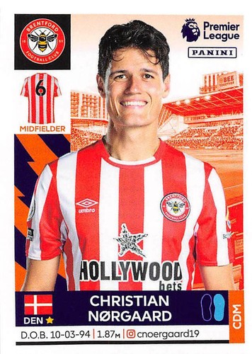 COLECCIÓN DE PEGATINAS PANINI PREMIER LEAGUE 2022 21/22 #1 - #225 (Arsenal - Palacio) - Imagen 93 de 226