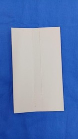 BMG Sega Saturn Soft Courier Cris Used
