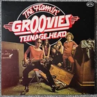 The Flamin Groovies Teenage Head 2 x LP Kama Sutra Records NM-NM