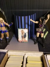 Ashley Tisdale Actress Movie Star Hot Sexy Custom ACEO Rookie Trading Card RC