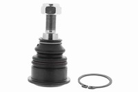 Vaico Traggelenk FüHrungsgelenk V20-3648 FüR R56 Clubman R55 Mini Clubvan R57