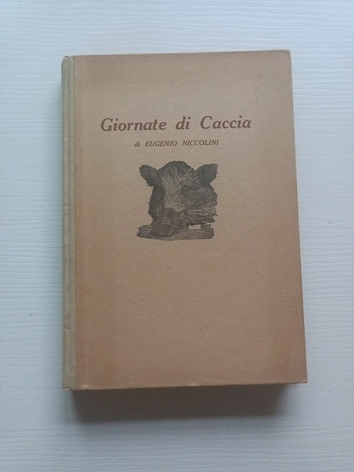 Foto 1 di 5
