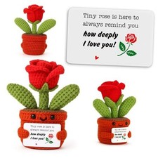 Sentimental Gifts for Her Him, Handmade Crochet Rose Flower Decor, Remind
