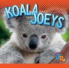 Koala Joeys by Jen Besel (English) Paperback Book