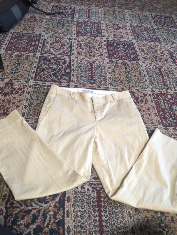 Women's Beige Hampton Pant Dress Slacks By BANANA REPUBLIC Size 6