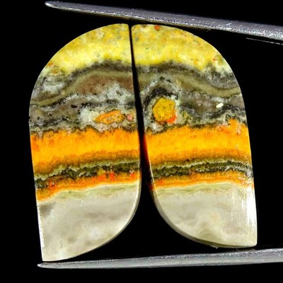 23,60 Cts Natürlicher Bumble Bee Jaspis Rund Cabochon Lose Edelstein 12x25x4mm