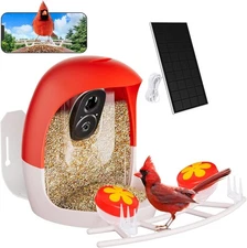 Bird Buddy Smart Bird Feeder With Camera Solar Powered Solar Roof Freship