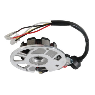 ⭐︎empy⭐︎様 Magneto Generator Stator Coil for Suzuki LT80 Quadsport 1987-2006