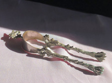 Unusual Sugar Tongs Lion Paw Piazza San Marco Winged Lion Venice Italy
