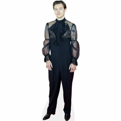 Harry Styles (Black Outfit) Life Size Cutout
