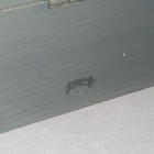 Picture 8 of 16