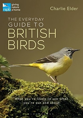 The Everyday Guide to British Birds: Identify our co by Charlie Elder 1472941179