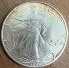 1991 Silver Eagle - Nice Toning