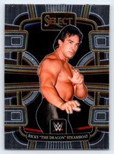 2024 Panini Select WWE #93 Ricky 