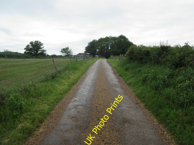 Photo 12x8 Track from Freelands Farm Wiggonholt Public Footpath 2636. c2015