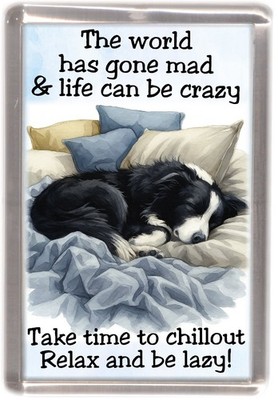 Border Collie Hund Kühlschrankmagnet - von Starprint