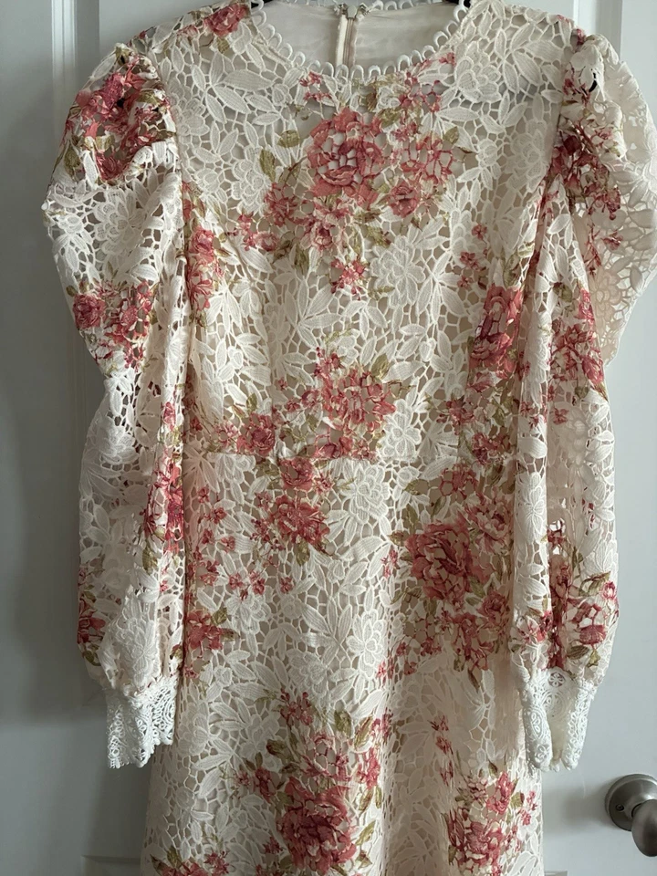 Anthropologie Champagne And Strawberry Crochet Romance Floral Dress M - Image 2 of 4