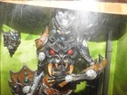Bild 7 von 21