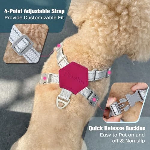 Dog Harness with Leash Set, X S(Neck 12.6-16.5" Chest 12.6-22.8") Magenta Dog Harness with Leash Set, X S(Neck 12.6-16.5" Chest 12.6-22.8") Magenta