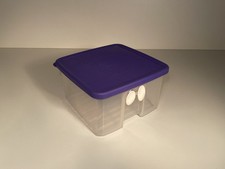 Tupperware NEU Prima Klima 1,0 L lila Kühlschrank Behälter für Gemüse etc.