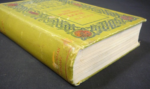 THE RURAL SCIENCE SERIES - THE PRUNING BOOK - L. H. Bailey (HC 1909) - Picture 11 of 14