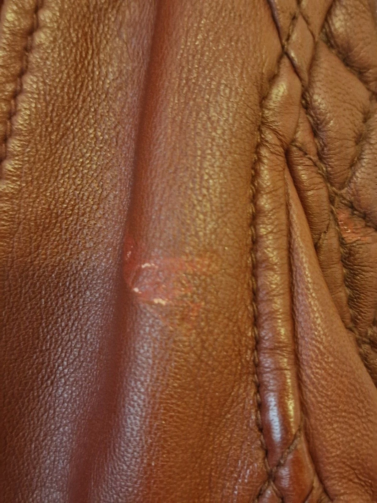 Picture 5 of 5