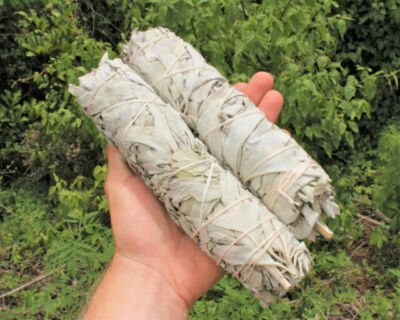 2 X Large White Sage Smudge Stick 8''To 9'' Jumbo (House Cleansing Negative Energy