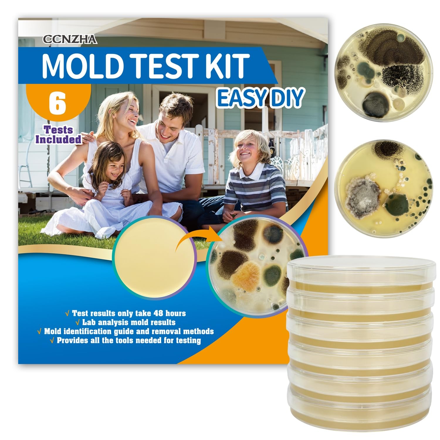 Home Mold Test Kit - 6 Tests, Black Mold Detector, Free Lab Analysis
