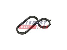 FAST Dichtring Ölkühler (Schmierung) FT48944 für FORD TRANSIT Bus TOURNEO CUSTOM