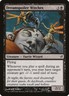 Lorwyn Dreamspoiler Witches MTG Magic the Gathering NM