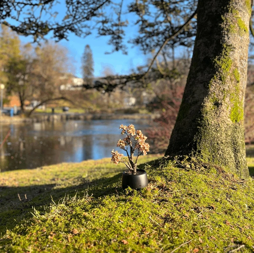 Bonsai artificial pino 14 pulgadas imitación maceta planta escritorio exhibición árbol falso Foto 2 de 4
