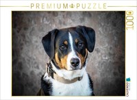 Calvendo Puzzle Appenzell Mountain Dog (Female) | 1000 Pieces, Finished Size 25.
