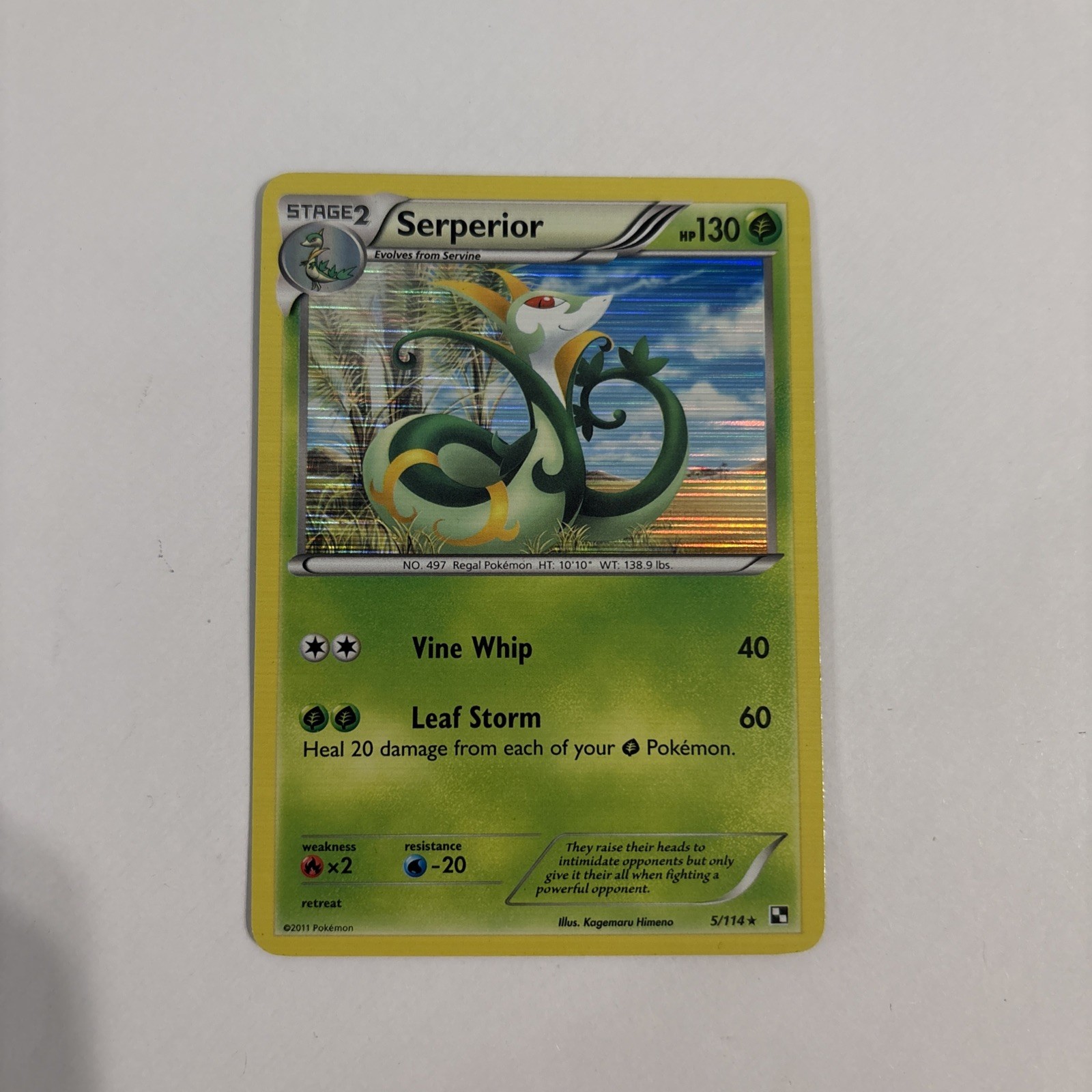 Pokemon 2011 Near Mint NM Serperior Black & White REVERSE 5/114 Card
