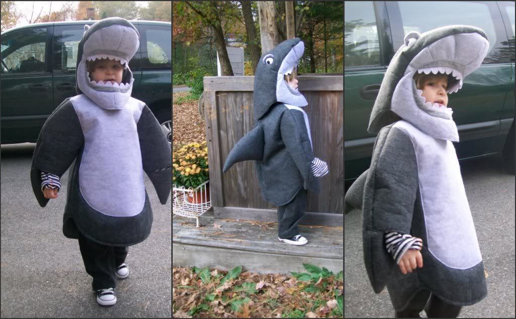 NWT/NEW POTTERY BARN KIDS 2T-3T/2-3 SHARK HALLOWEEN COSTUME | eBay