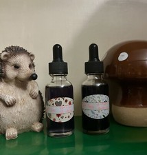 Ghost Pipe Monotropa Uniflora 1oz Tincture Made in Wisconsin