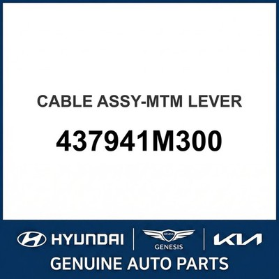 2009-2013 Kia Forte Kabelkonfektion - MTM Hebel OEM Neu 437941M300