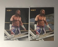 Buddy Murphy Card Lot WWE Topps 2017 Then Now Forever Bronze & Base Matthews