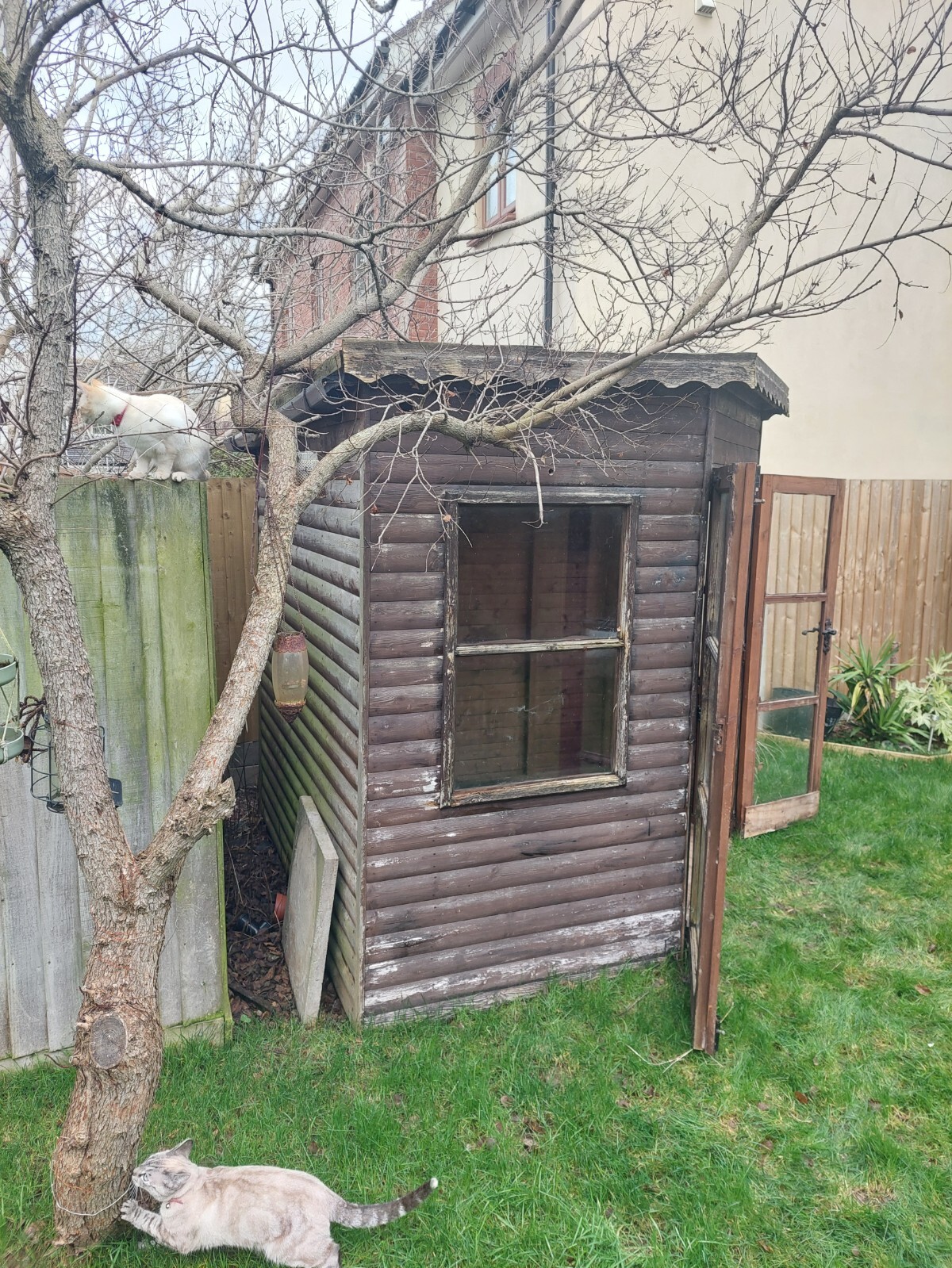 Garden Shed / Summer House USED eBay