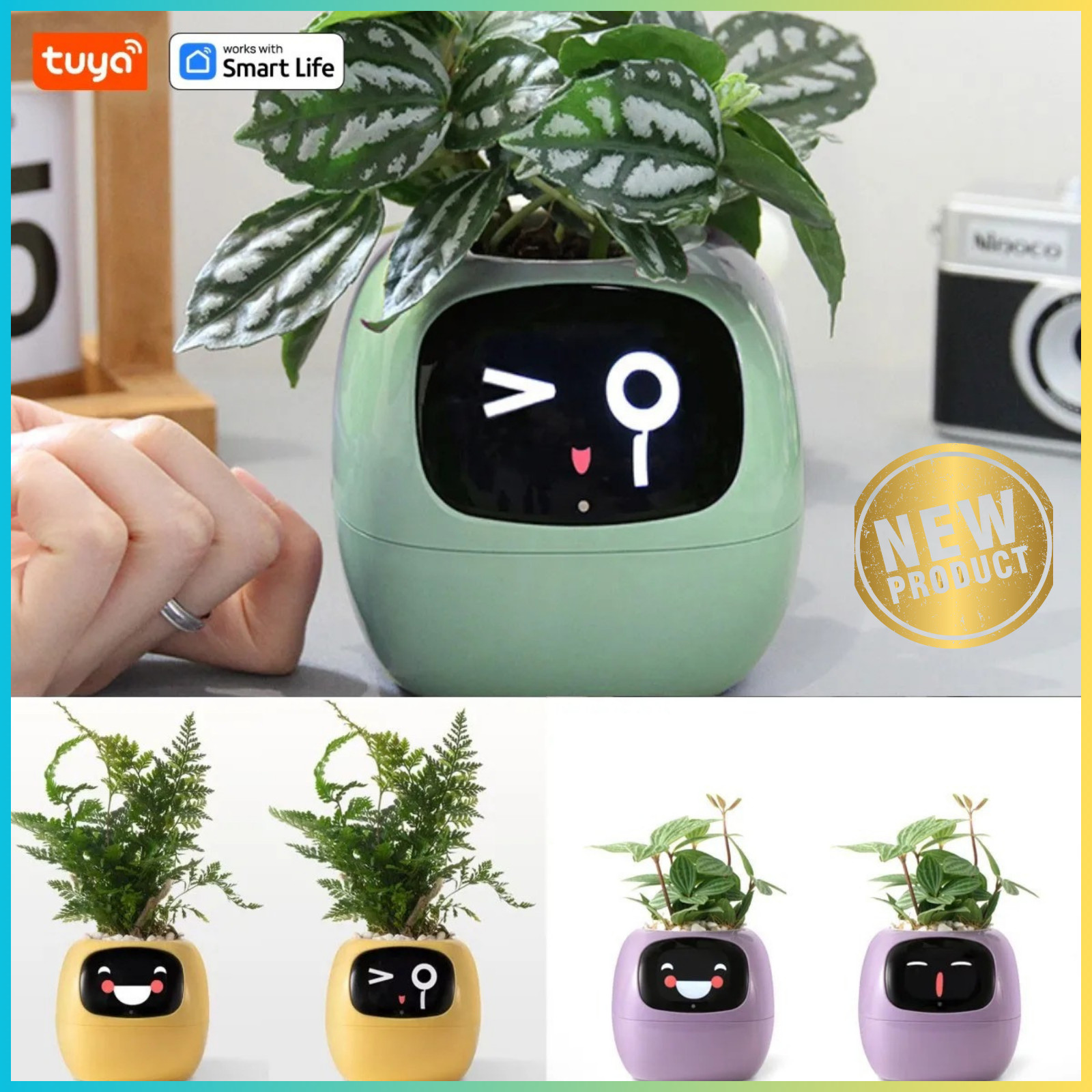 IVy robot intelligent pour plantes vertes et objets connectés de maison