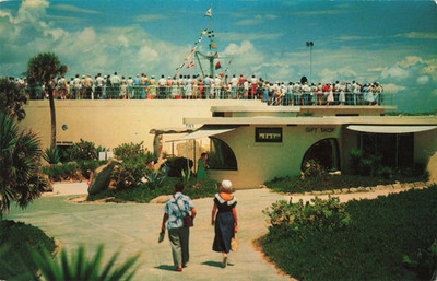 Marine Studios Oceanarium - Marineland Florida FL - Postcard