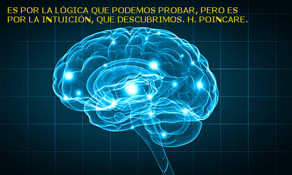 Imagen 7 de 10