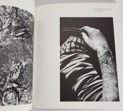 New Japanese Photography 1974 MOMA Shomei Tomatsu Ikko Ken Ohara Shoji Yamagishi - Picture 3 of 9