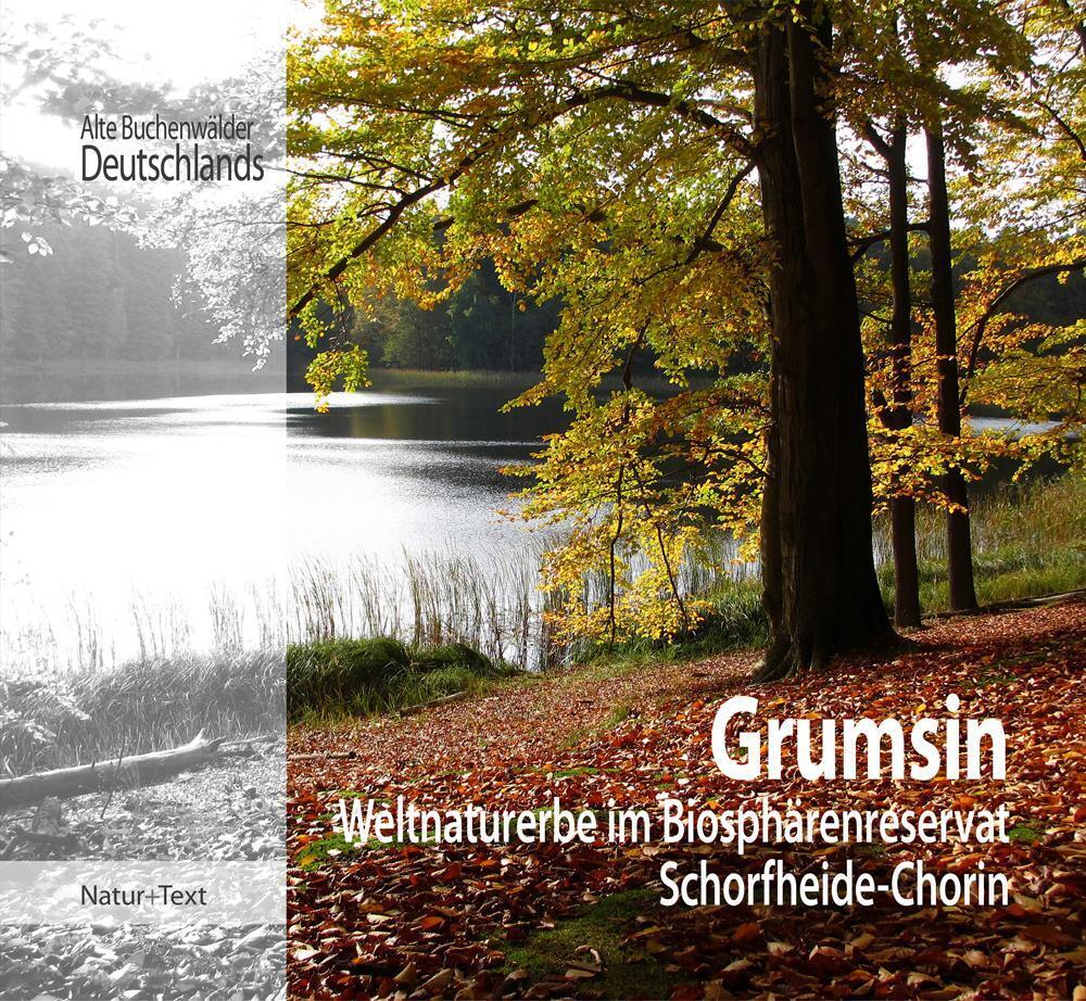 Thumbnail - Beate Blahy (u. A.) | Grumsin | Buch | Deutsch (2017) | 168 S. | Natur