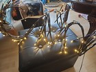 Multi Speed Lite  Led Vine 4'