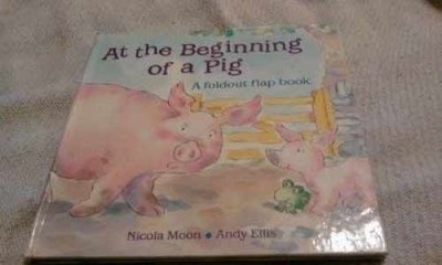 At the Beginning of a Pig (A Foldout - Hardcover, by Moon Nicola - Acceptable