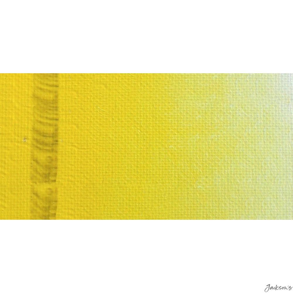 Ara Ara Acrylic Paint Cadmium Yellow Light 500ml For Artists Canvas Work