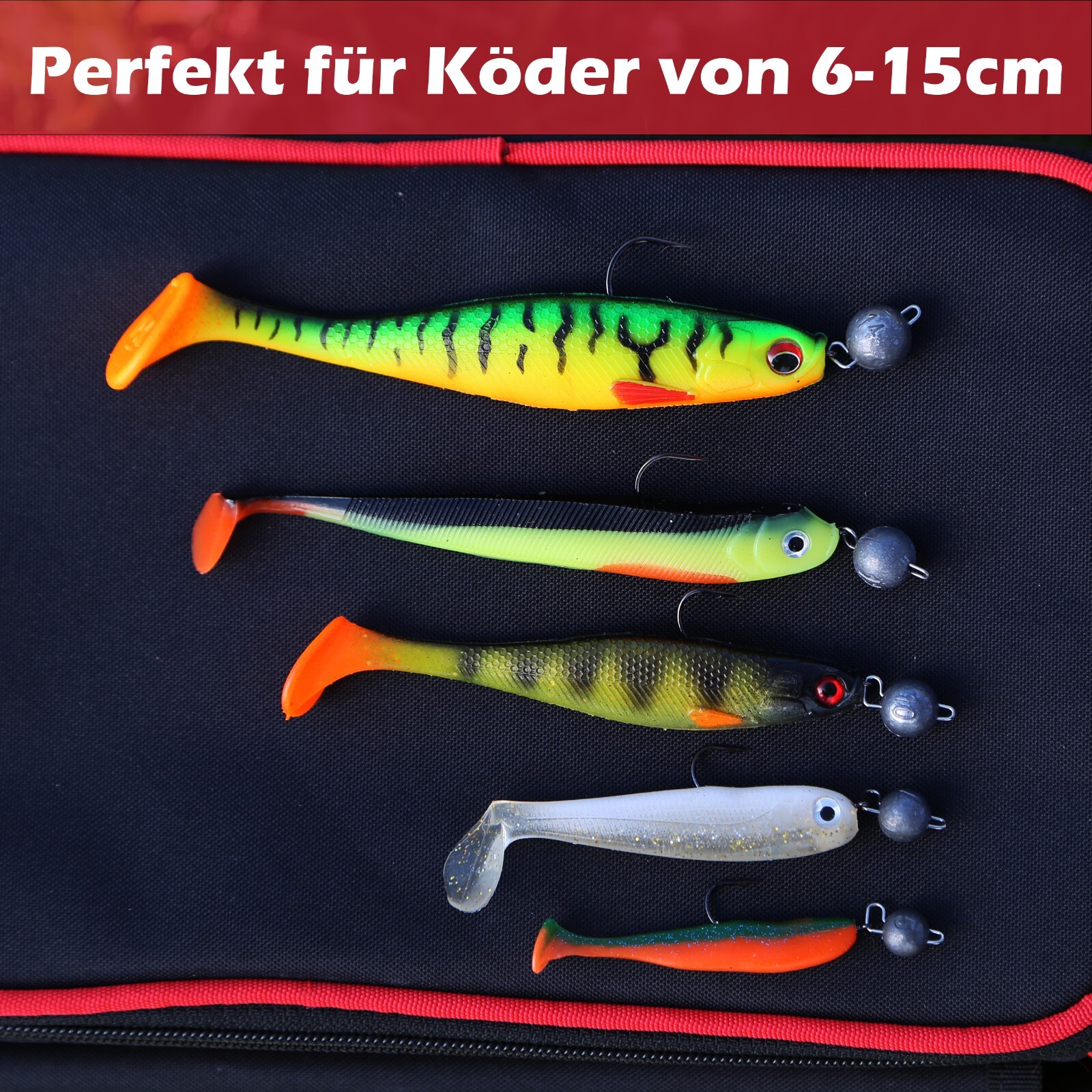 Bild 2 von 6